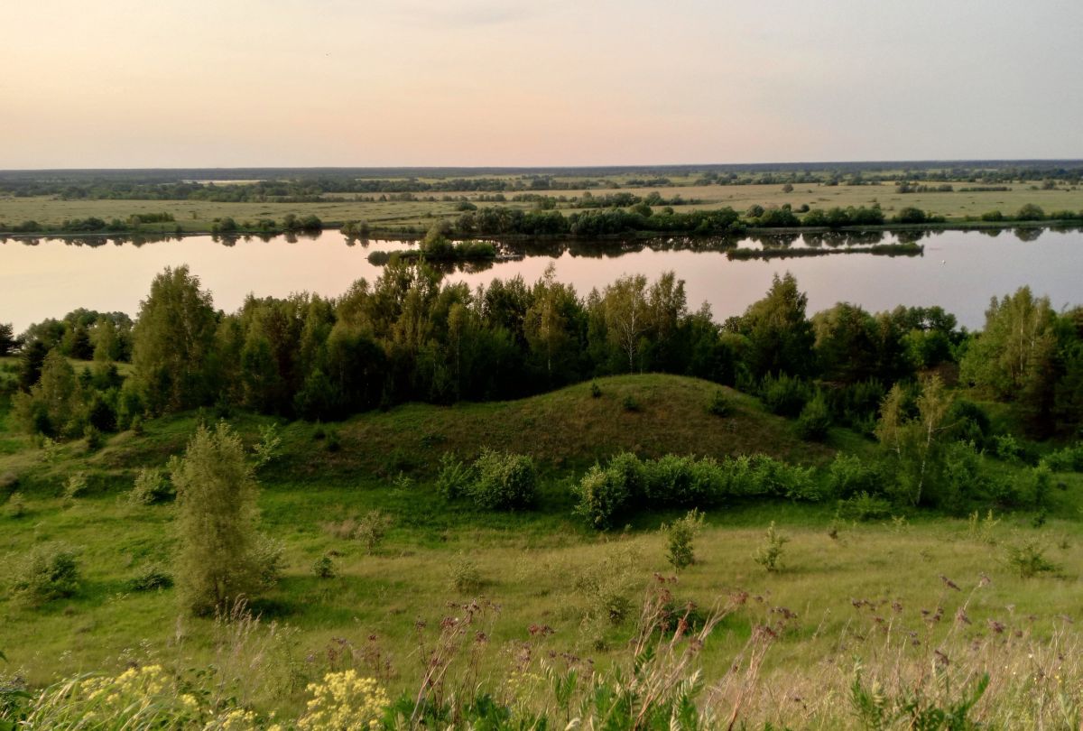 Иллюстрация к публикации