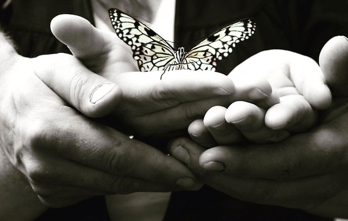 Не спугните первую любовь. Бабочка в твоих руках. Берегите свое счастье. Берегите бабочек. Бабочки любят друг друга.