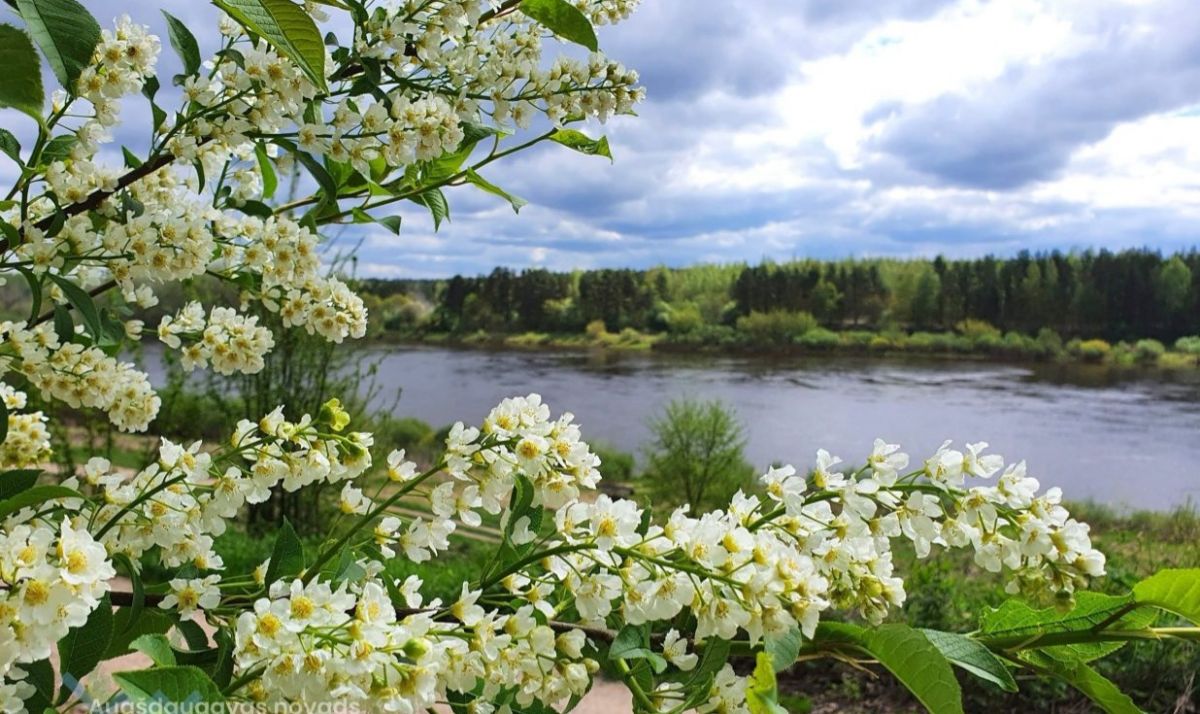 Иллюстрация к публикации