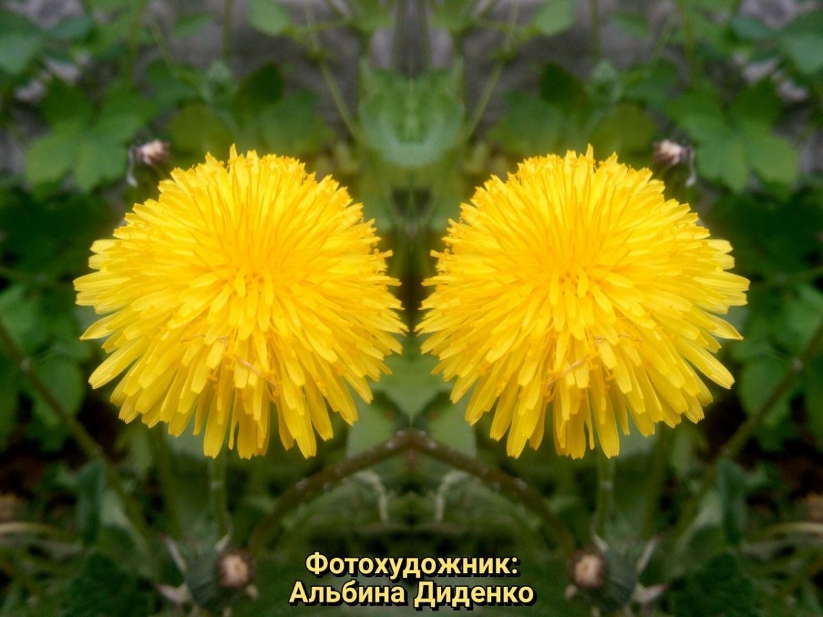 Иллюстрация к публикации