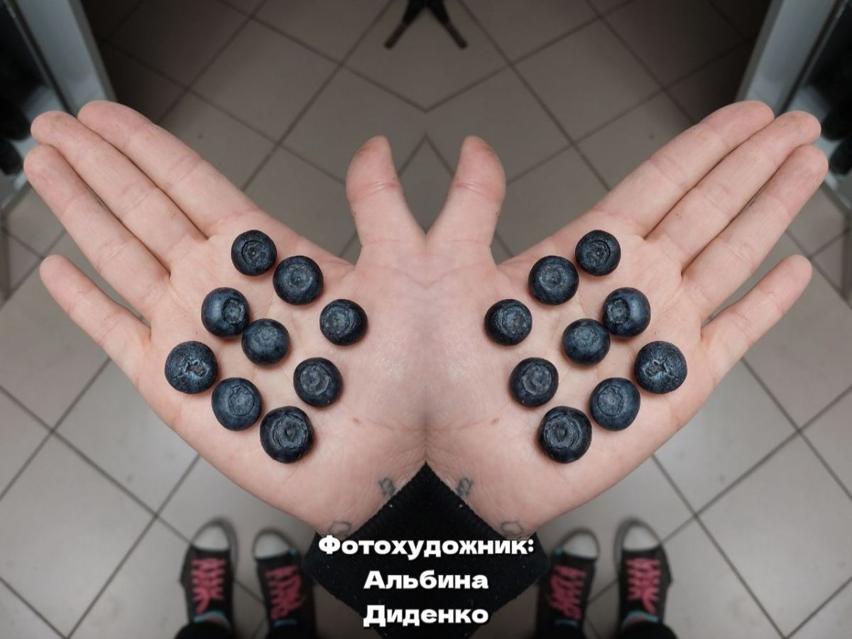 Иллюстрация к публикации