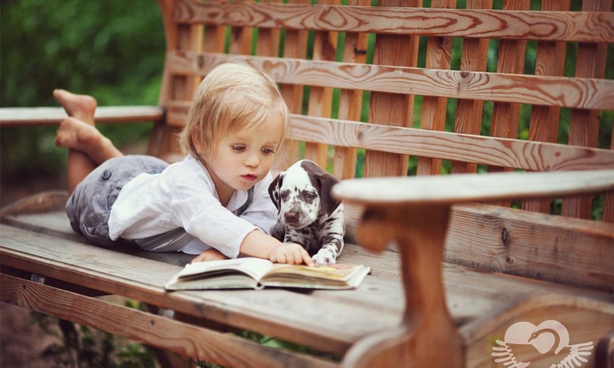 Дети читают собаке. Дети с животными. Домашние животные для детей. Ребенок и животное. Собака для детей.