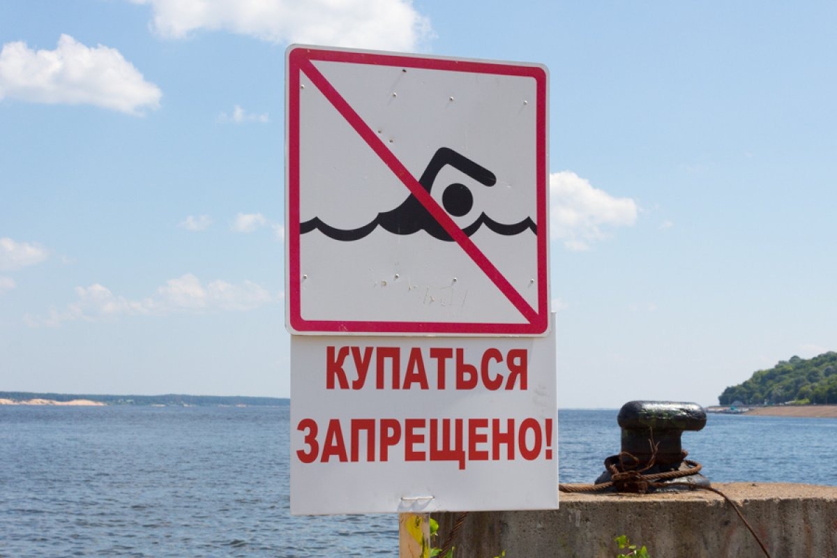 Иллюстрация к публикации