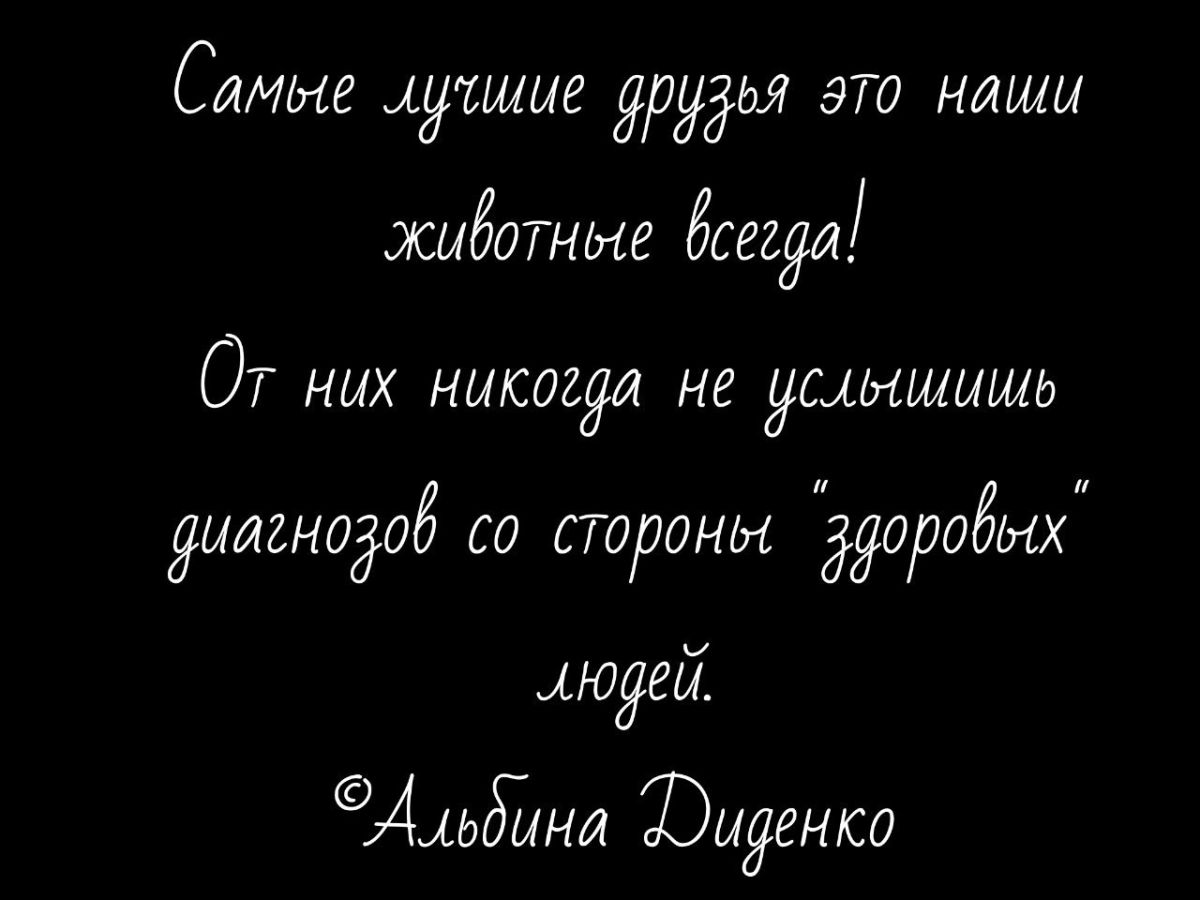 Иллюстрация к публикации