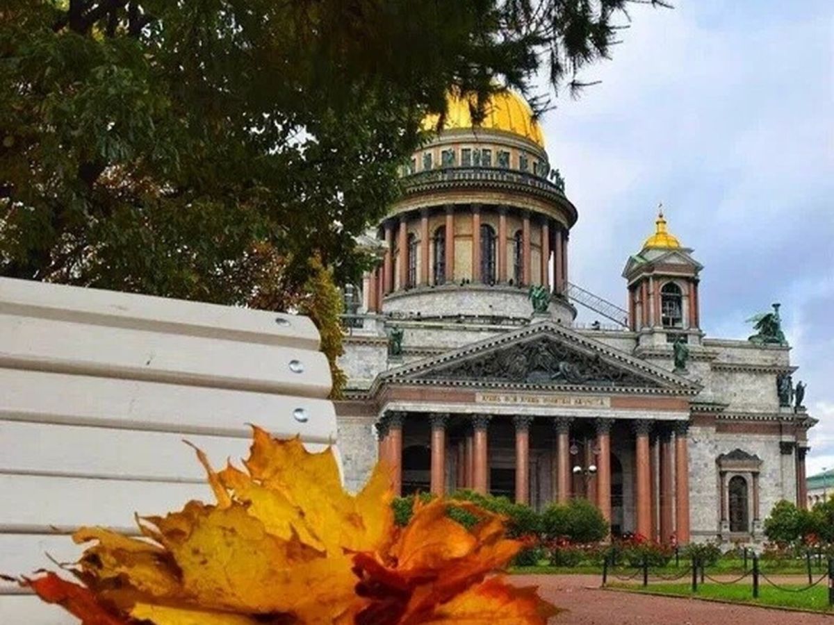 Иллюстрация к публикации