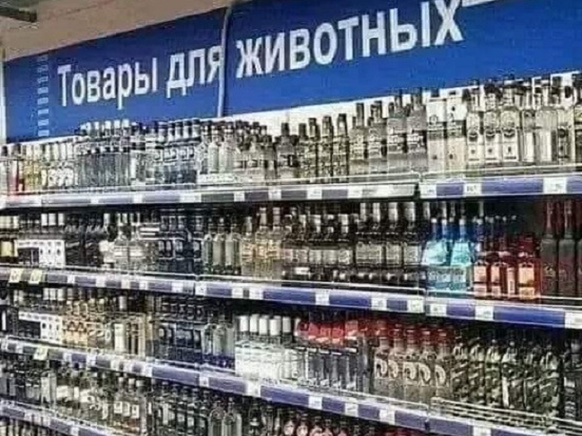 Иллюстрация к публикации