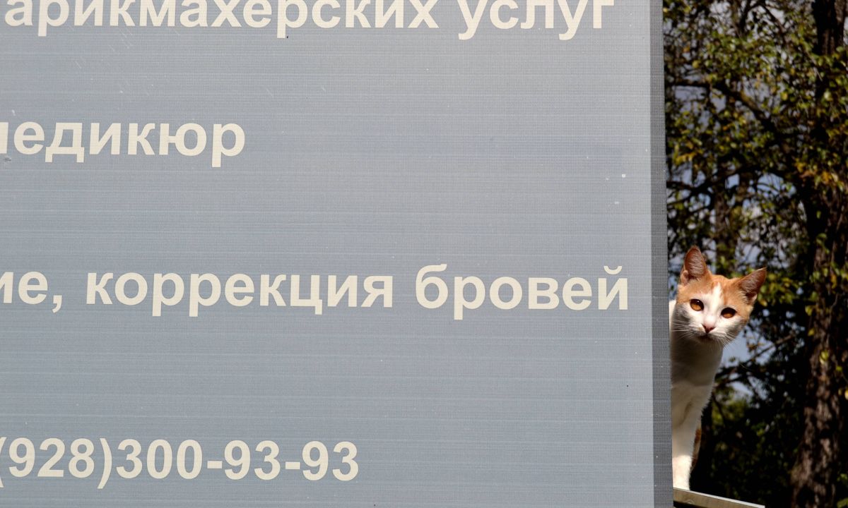 Иллюстрация к публикации