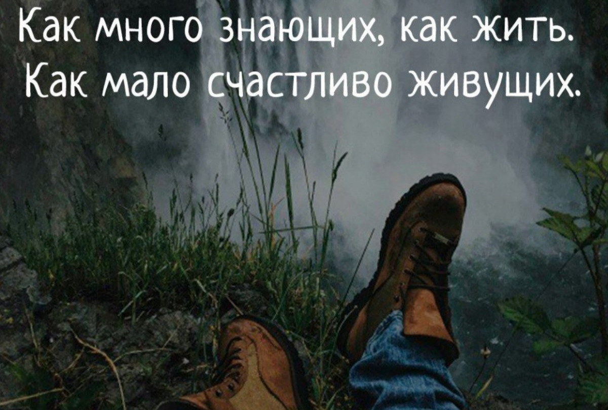 Как правильно жить. Как много знающих как жить как мало. Как много знающих как жить как мало счастливо живущих. Как жить. Знающих как жить