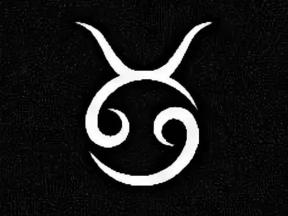 1555801-3299