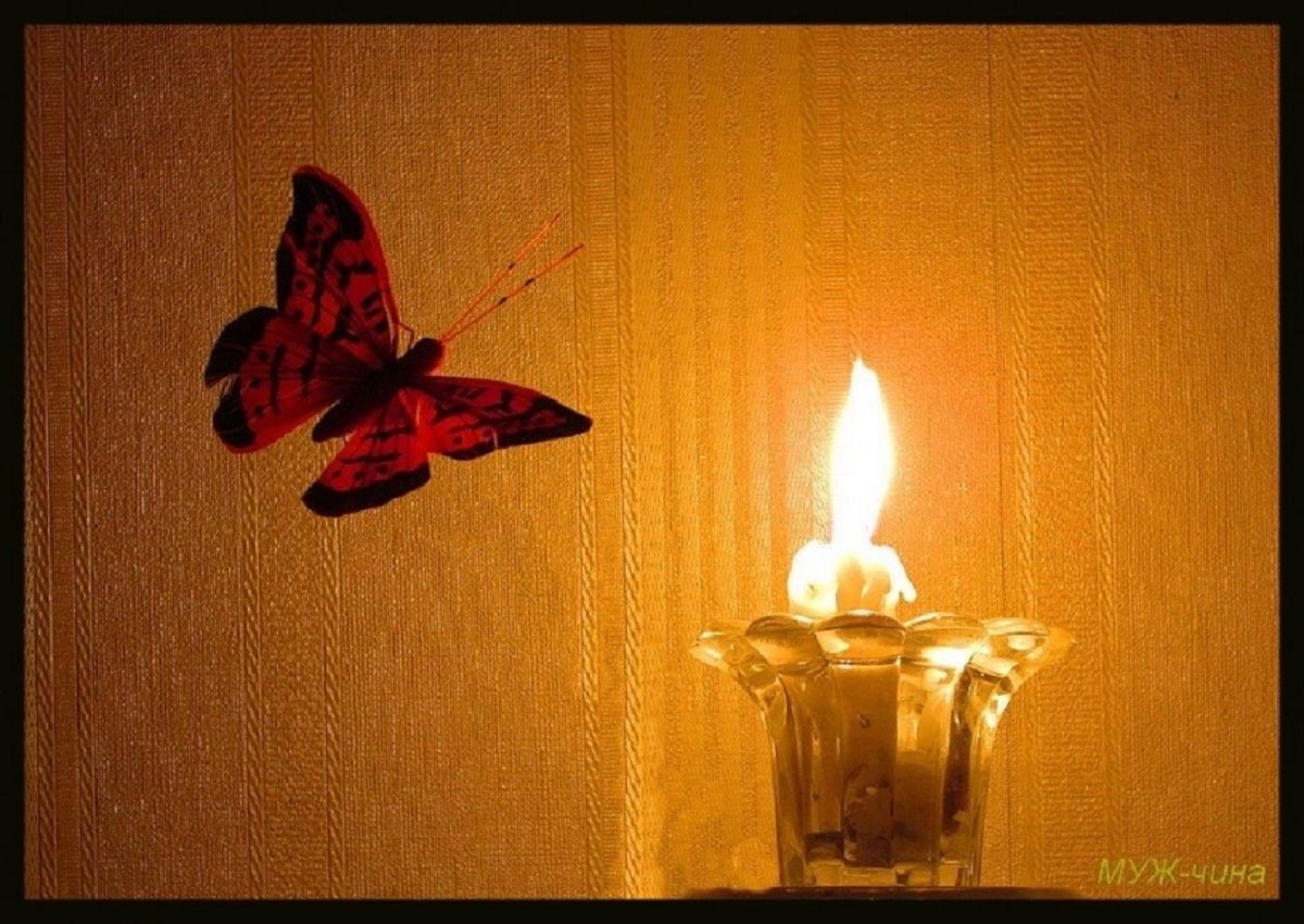 Тихо бабочки летают. Мотылек и огонь. Бабочка и свеча. Бабочка летит на огонь. Мотылек над свечой.
