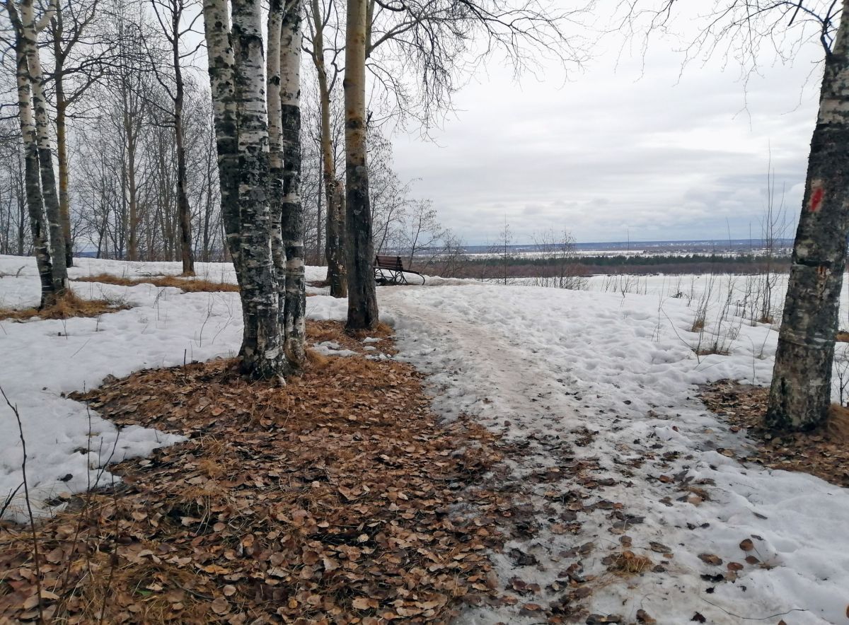 Иллюстрация к публикации