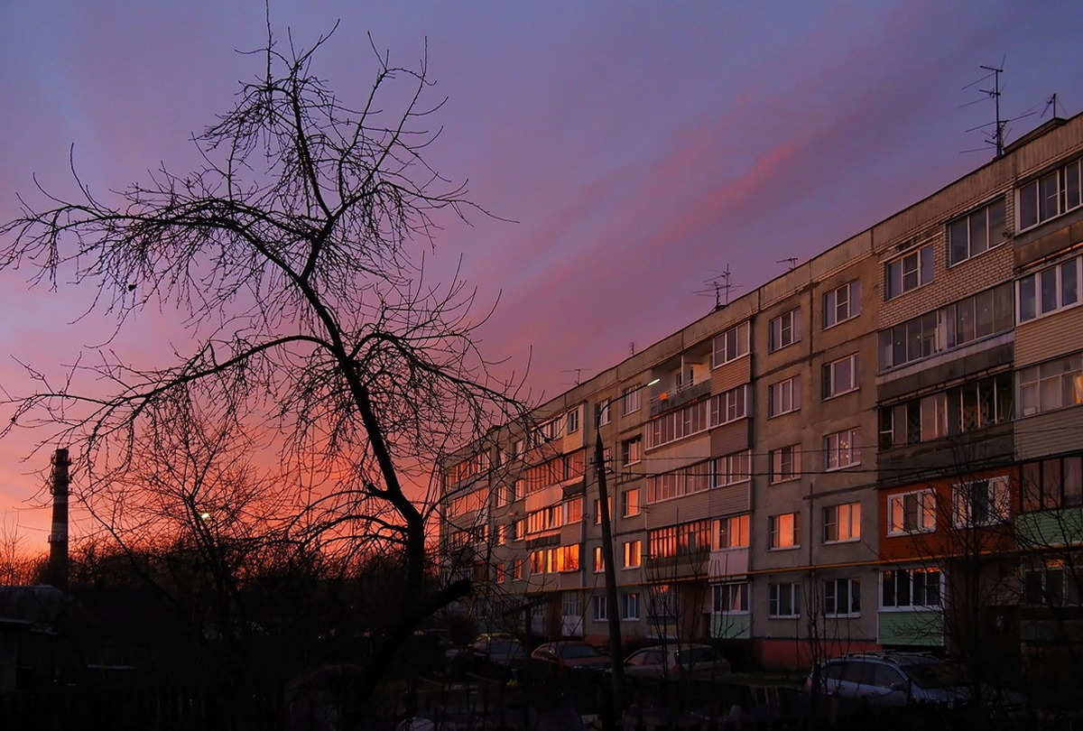 Иллюстрация к публикации