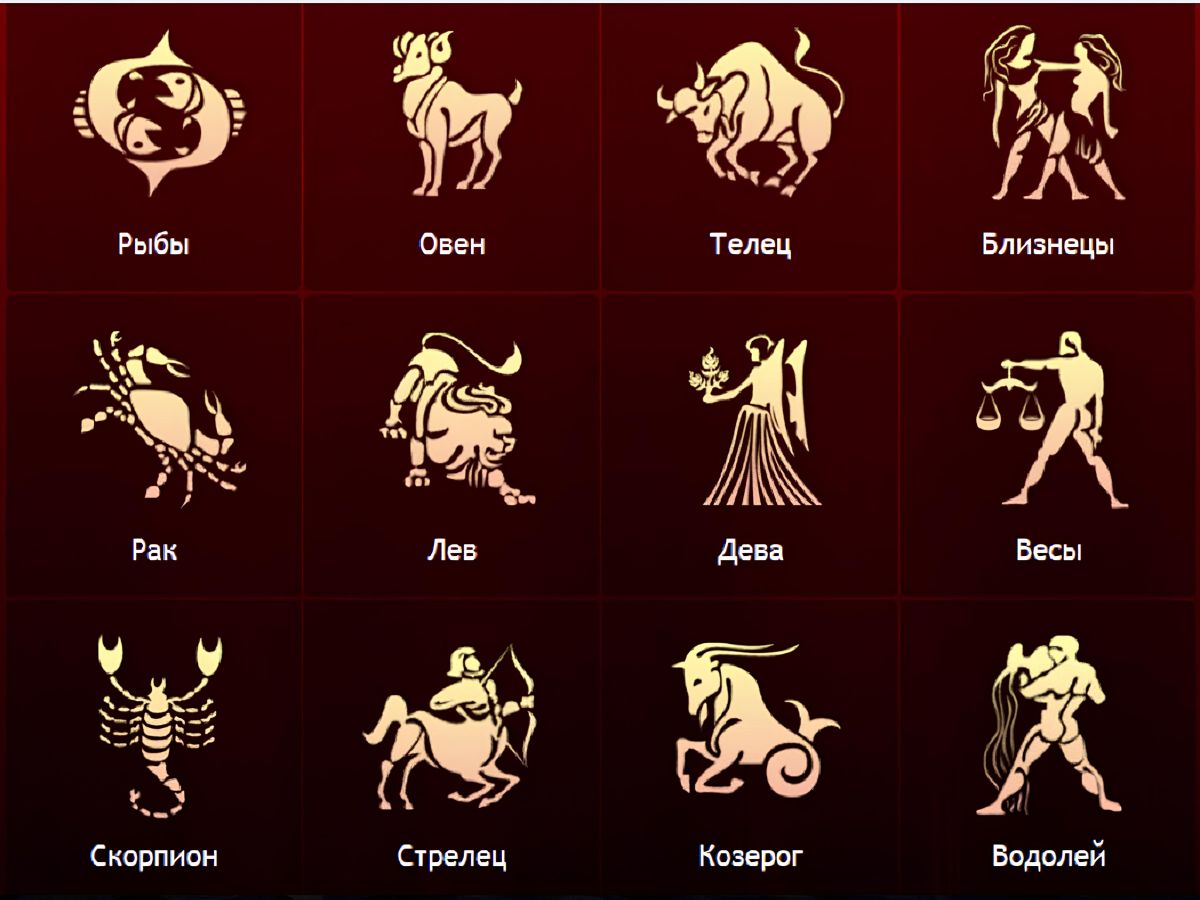 12 февраля знак гороскопа. Знаки зодиака. Знаки зодикак. Знак зодиака знаки зодиака. Знаки зодиака символы.