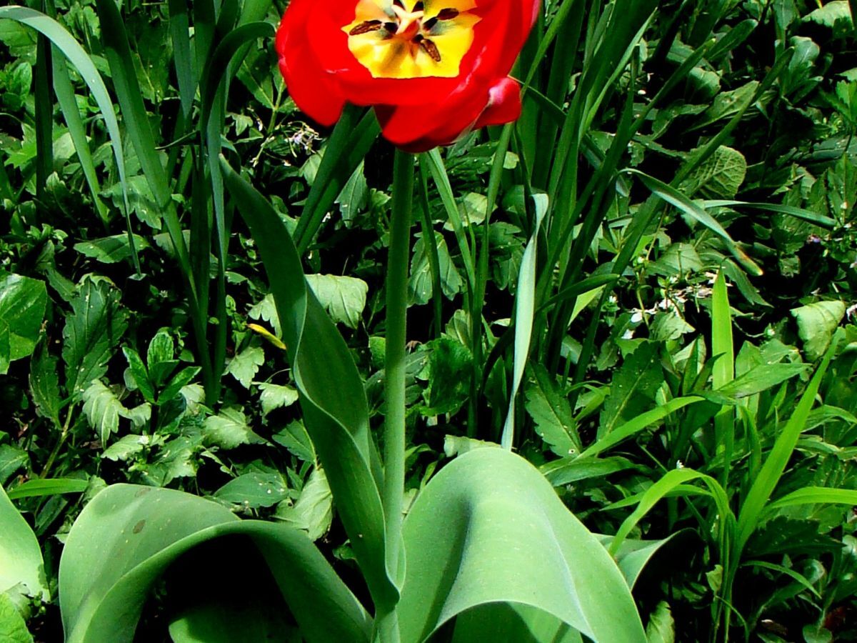 Иллюстрация к публикации