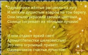 991302-0297