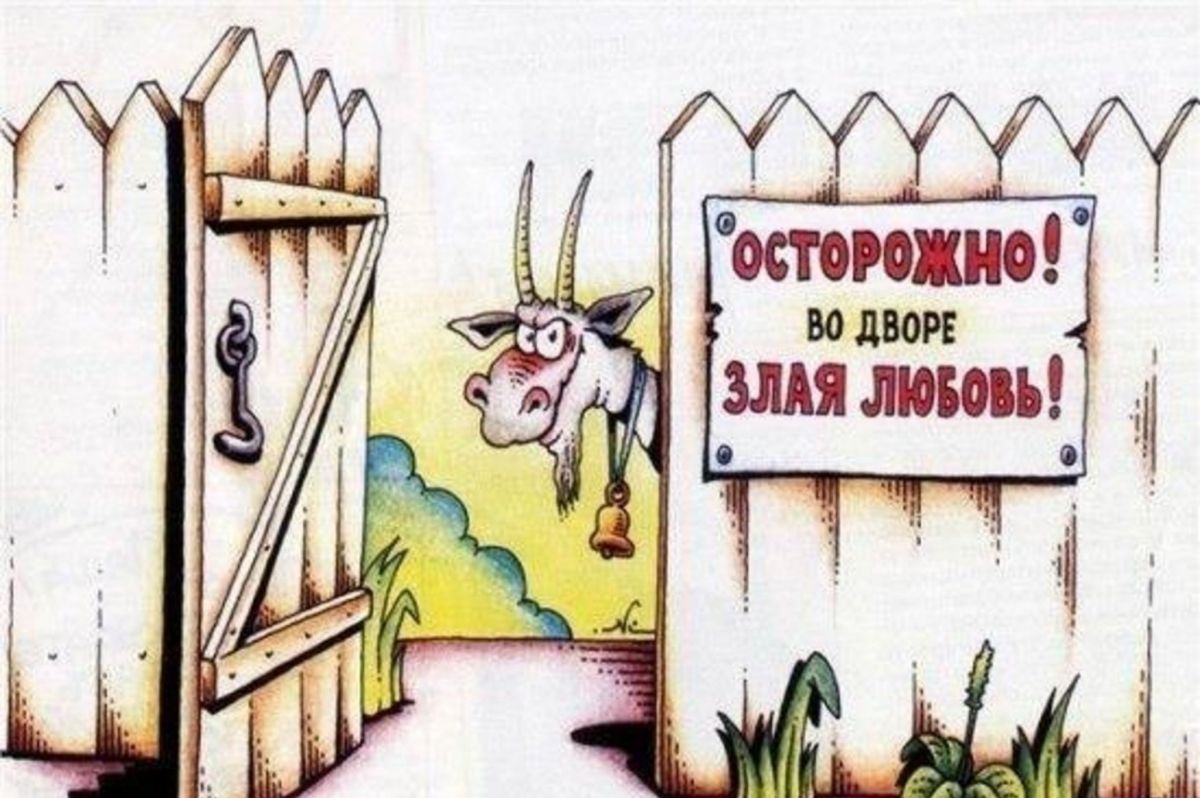 Иллюстрация к публикации