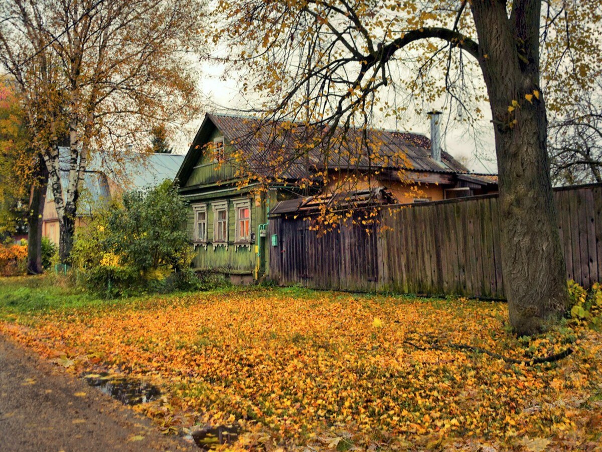 Иллюстрация к публикации