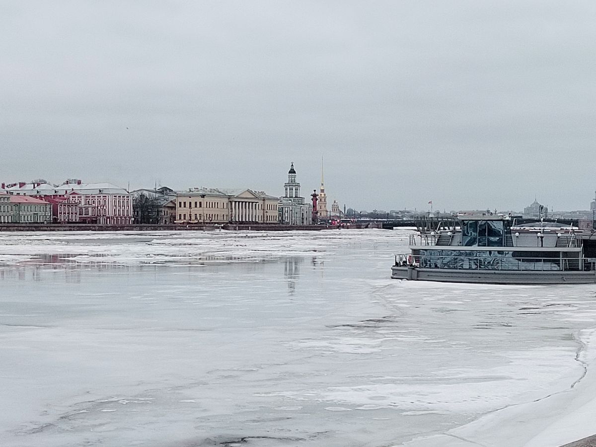 Иллюстрация к публикации