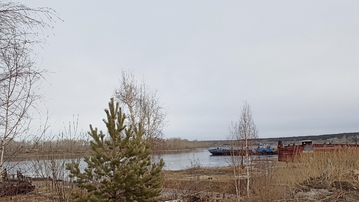 Иллюстрация к публикации