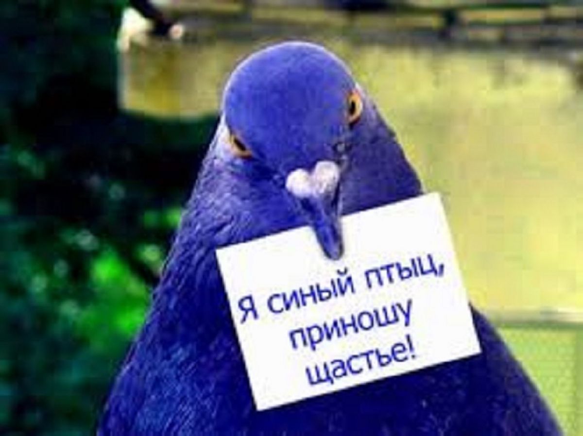 Иллюстрация к публикации