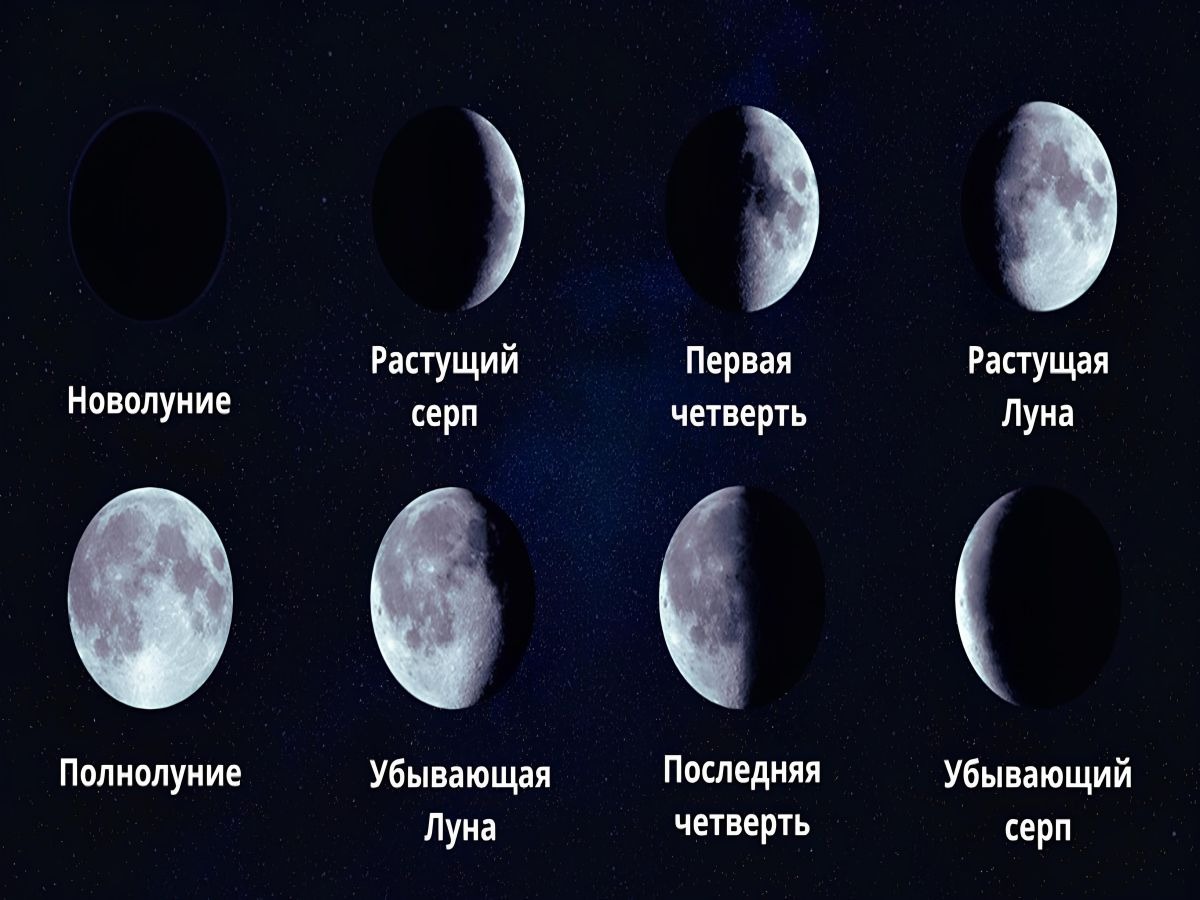 Иллюстрация к публикации