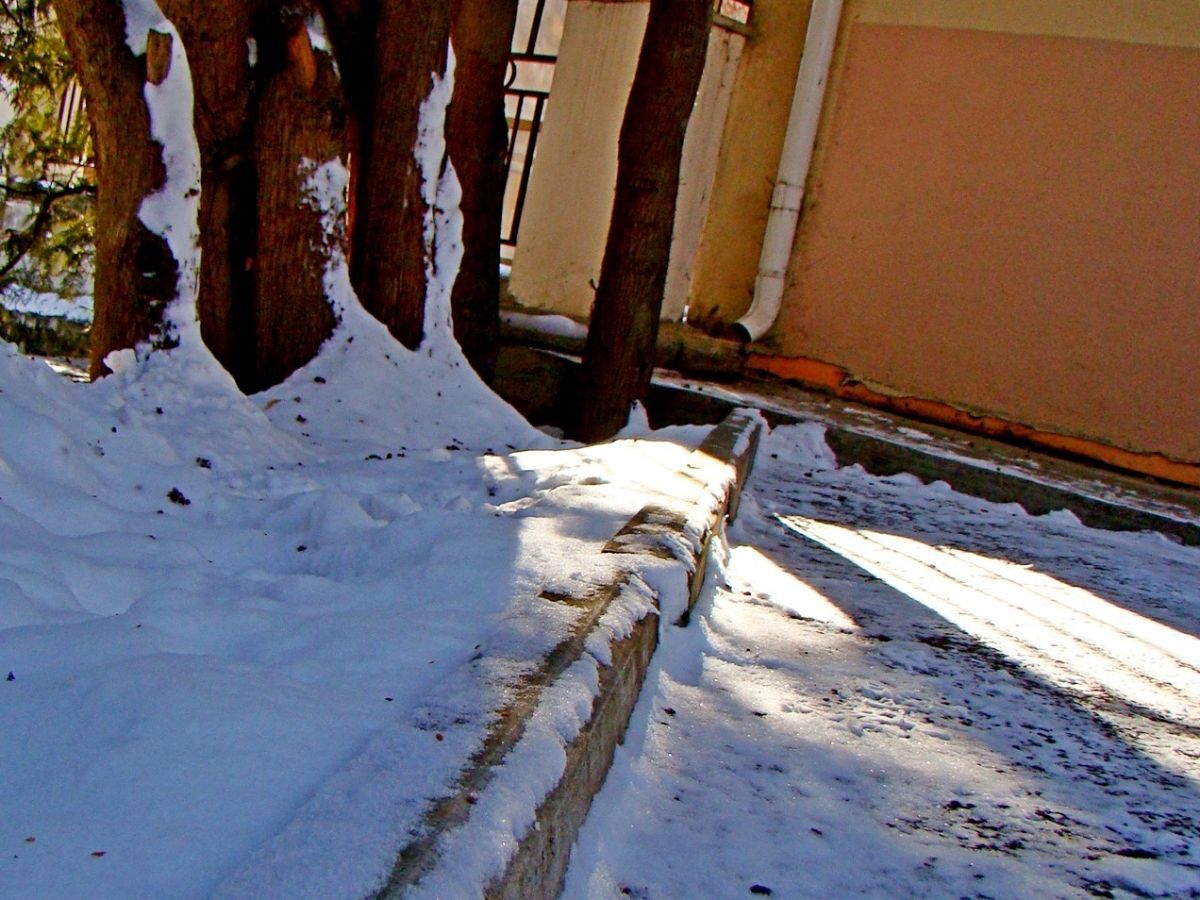 Иллюстрация к публикации