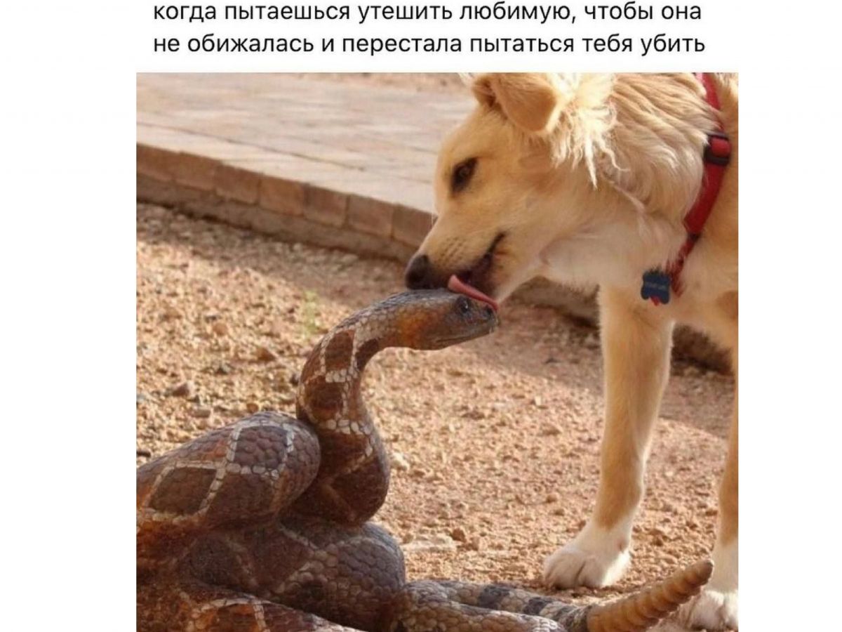 Иллюстрация к публикации