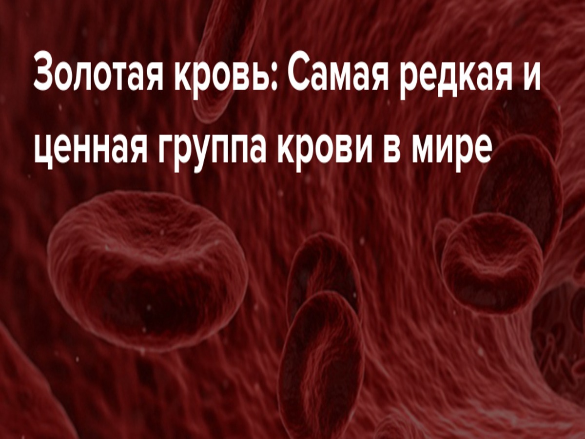 Иллюстрация к публикации