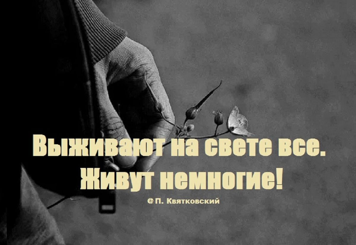 Иллюстрация к публикации