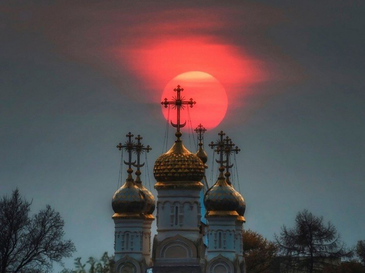Иллюстрация к публикации