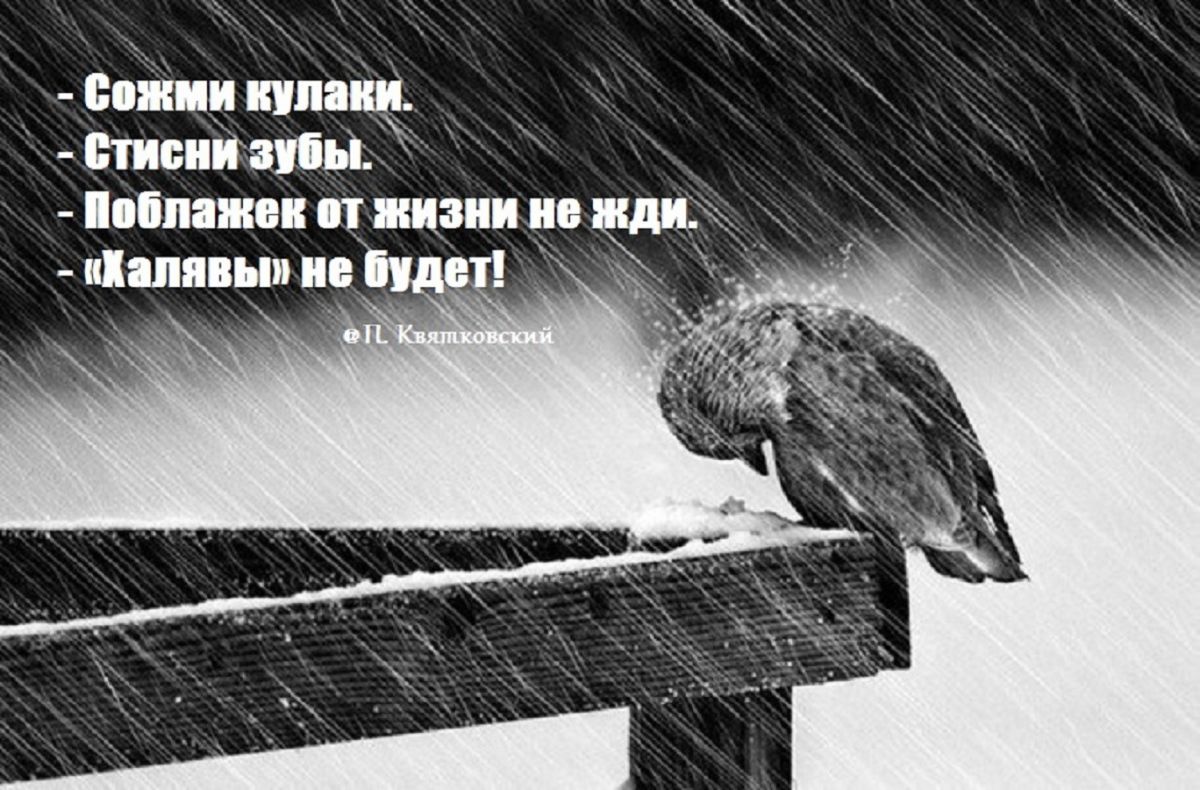 Иллюстрация к публикации