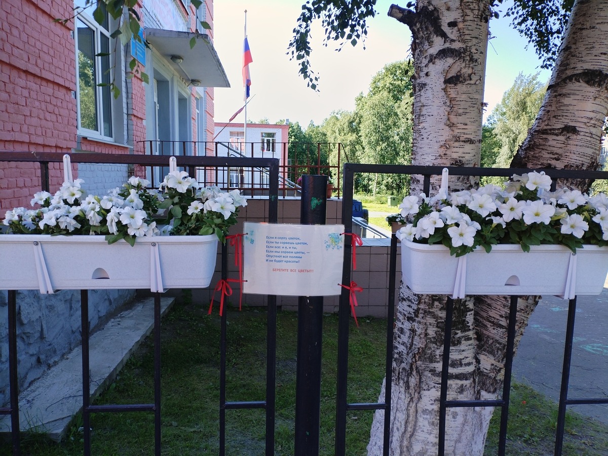Иллюстрация к публикации