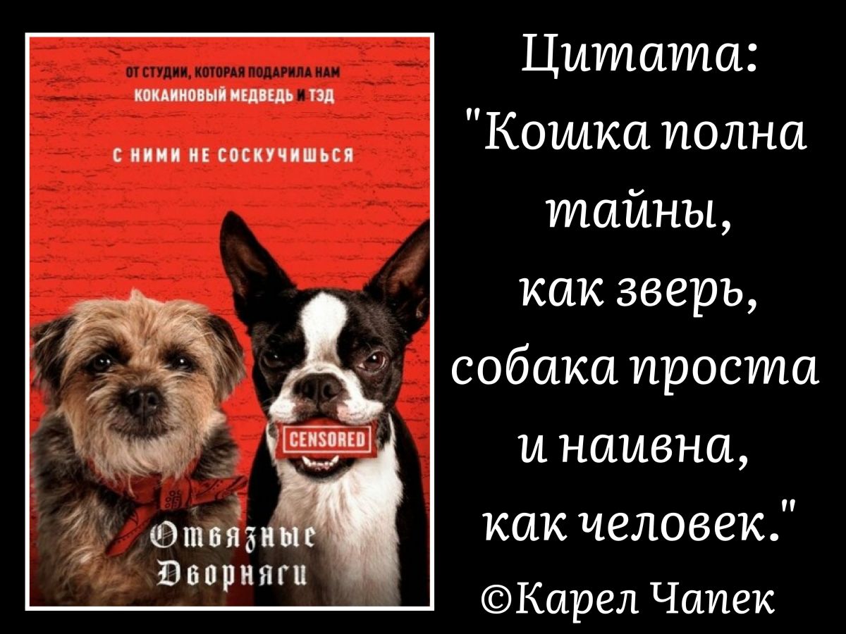 Иллюстрация к публикации