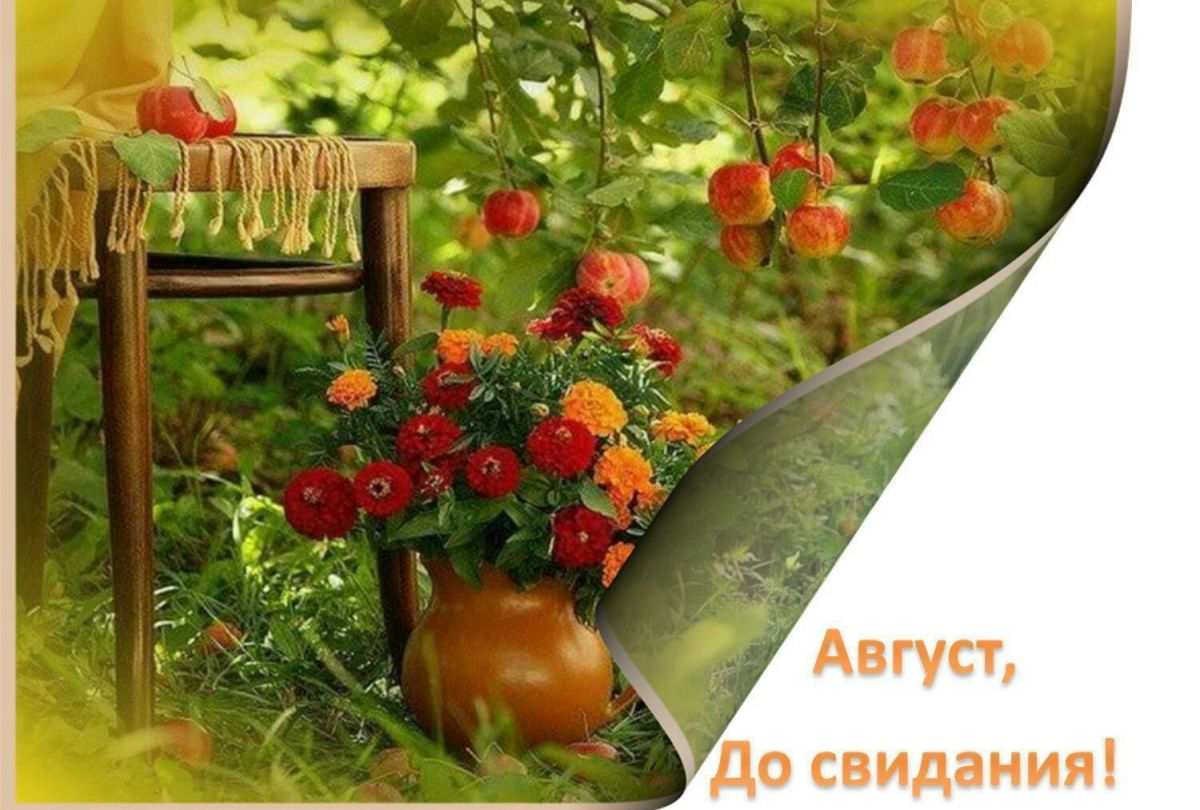 Иллюстрация к публикации