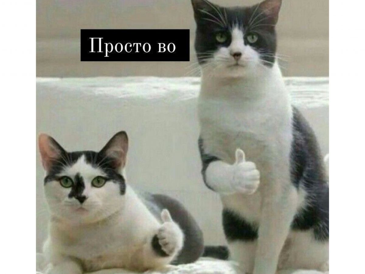 Иллюстрация к публикации