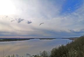 1758591-6693