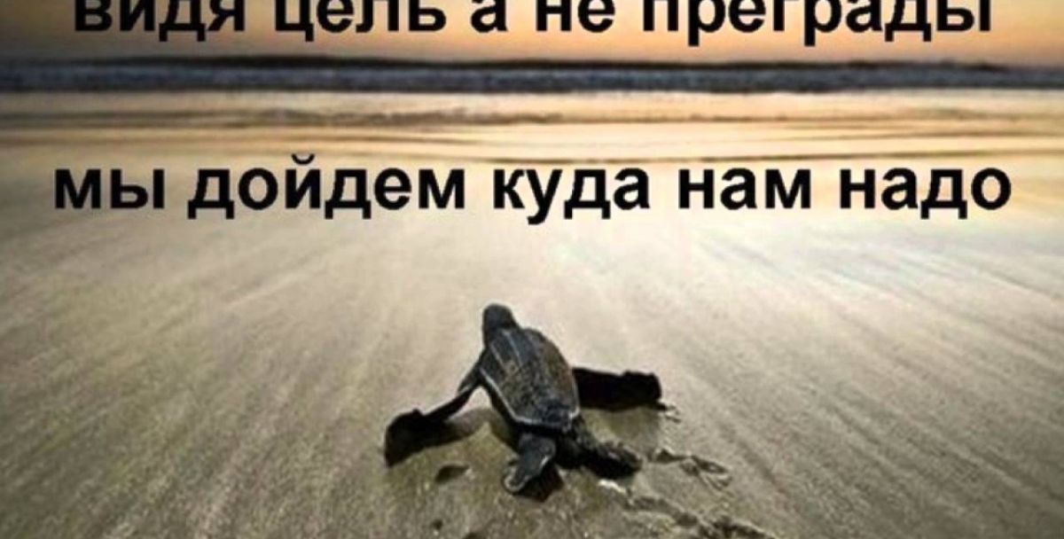 Иллюстрация к публикации