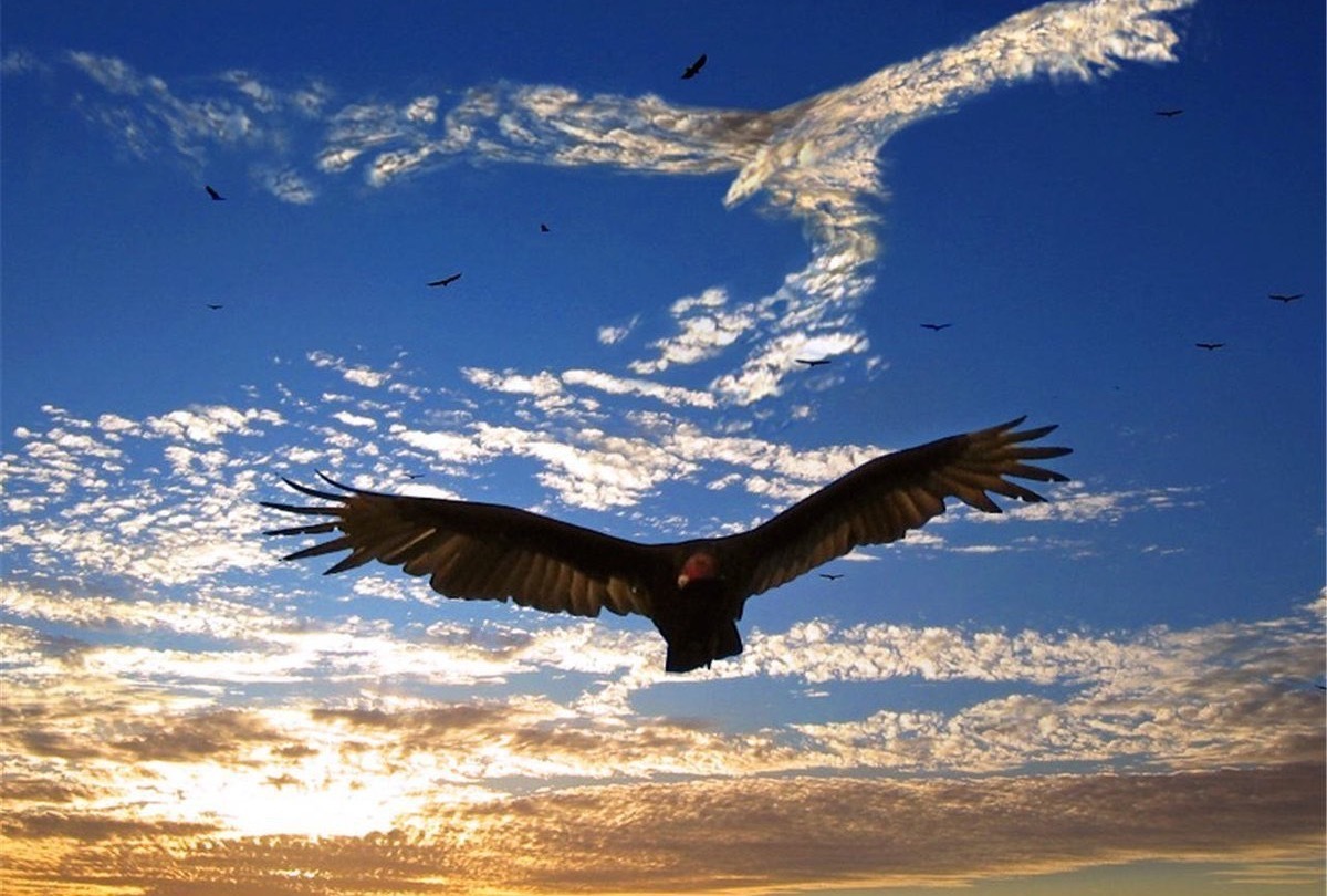 Иллюстрация к публикации