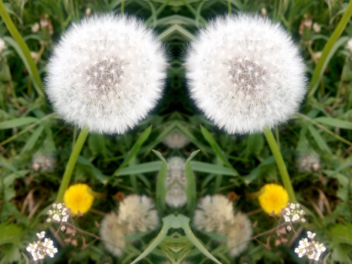 Иллюстрация к публикации