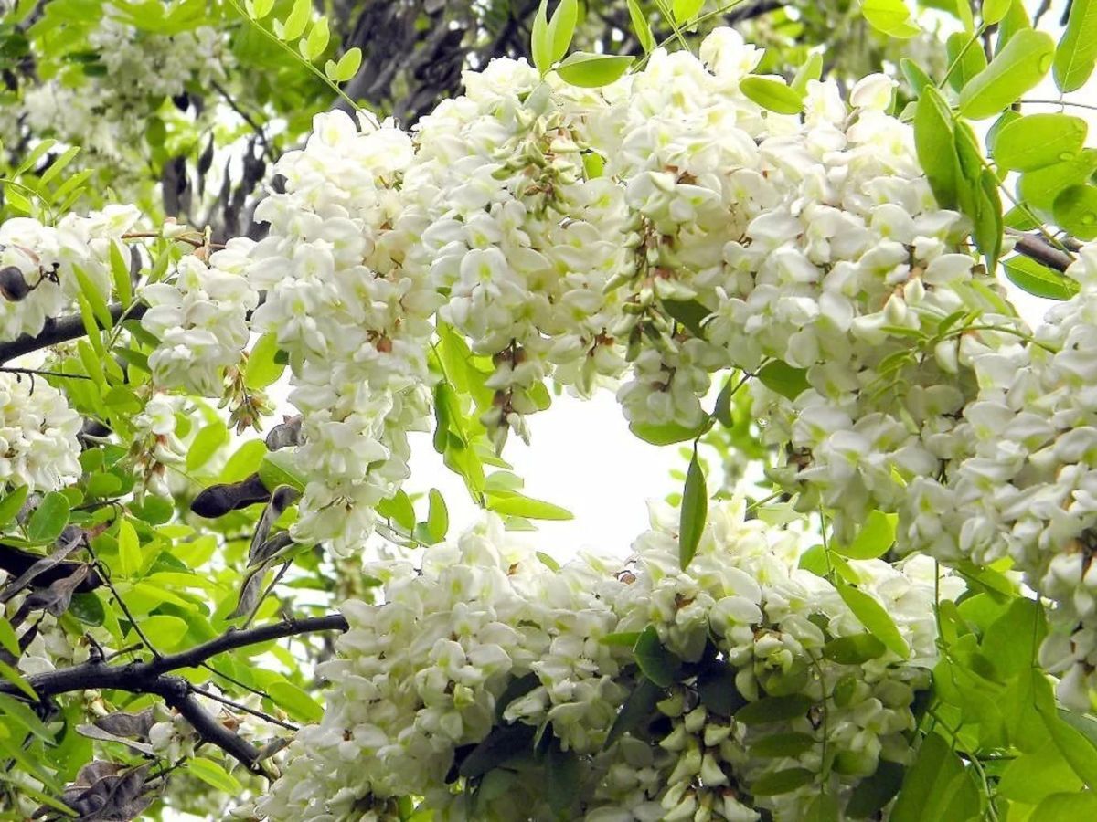 Иллюстрация к публикации