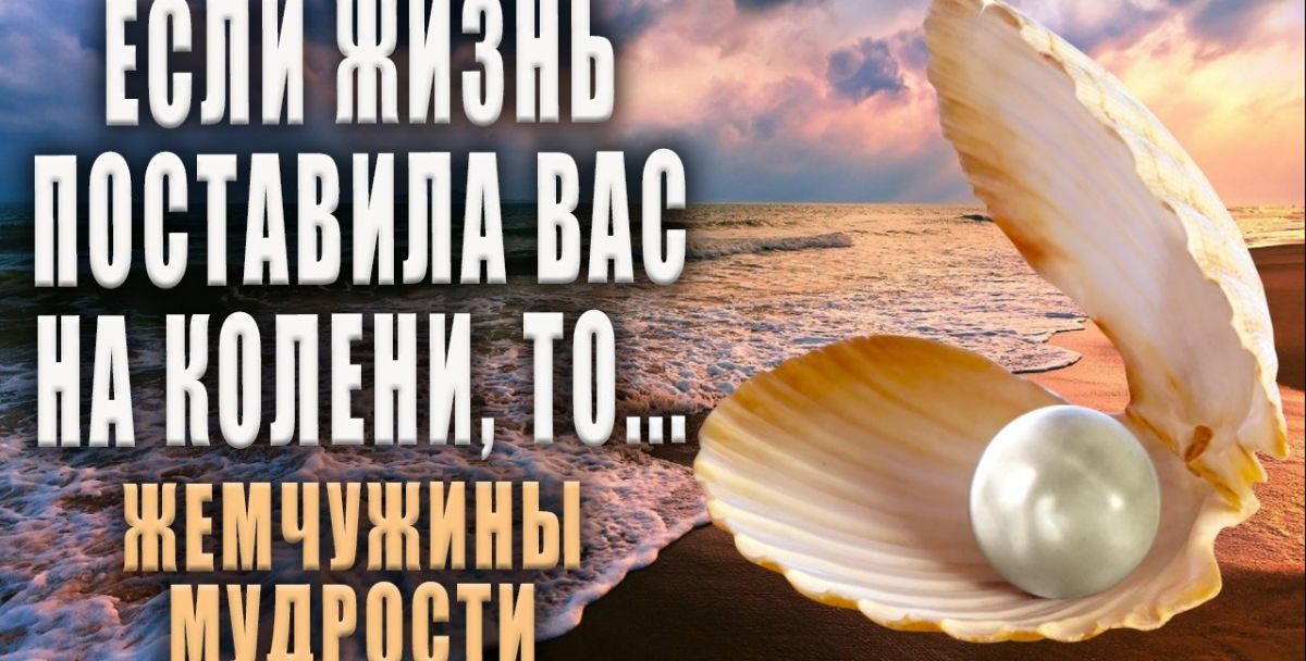 Иллюстрация к публикации