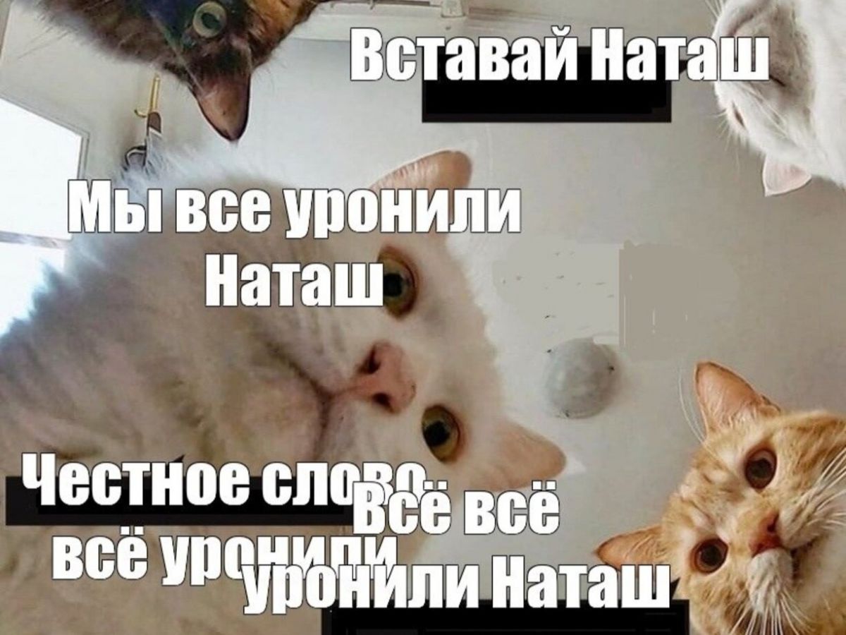 Иллюстрация к публикации
