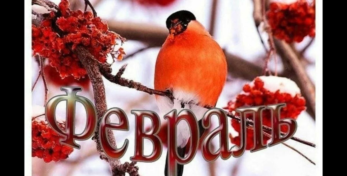 Иллюстрация к публикации