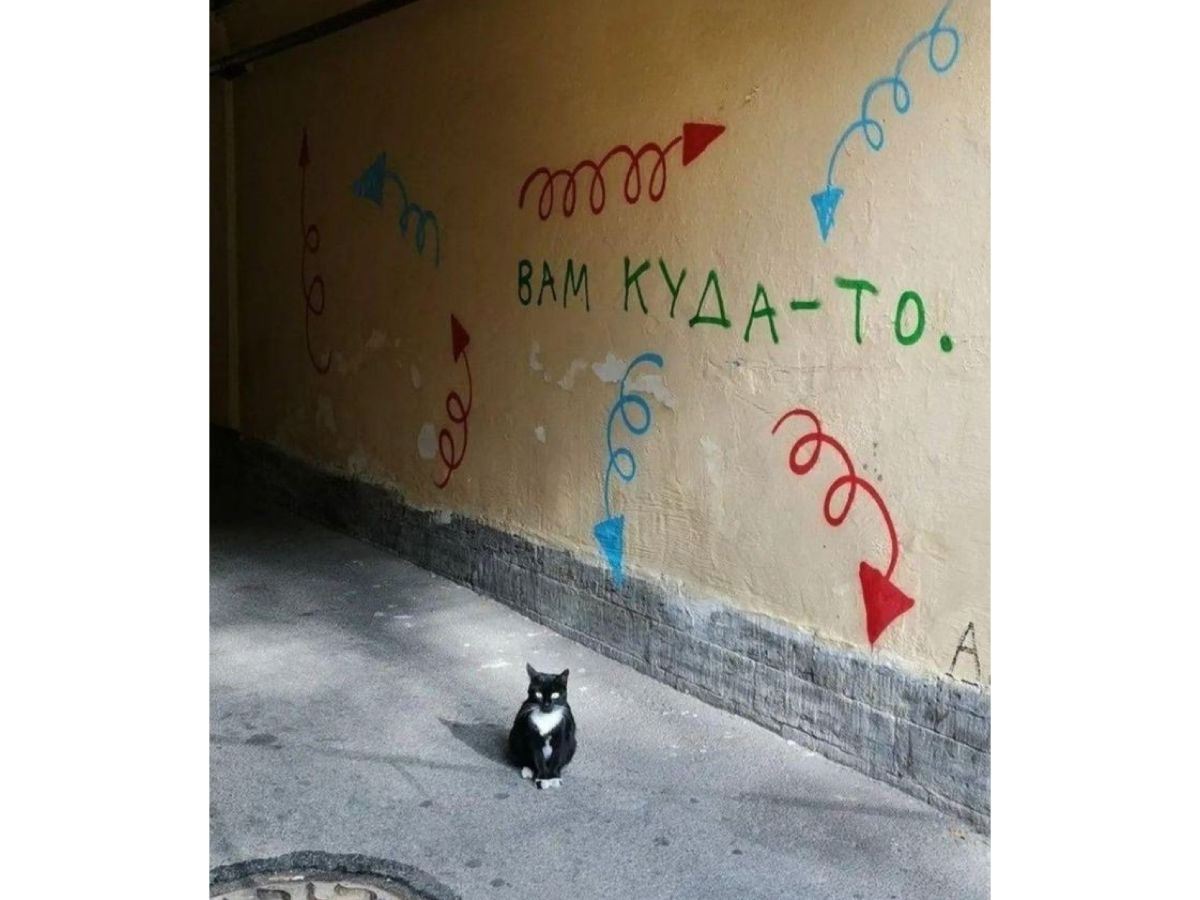 Иллюстрация к публикации