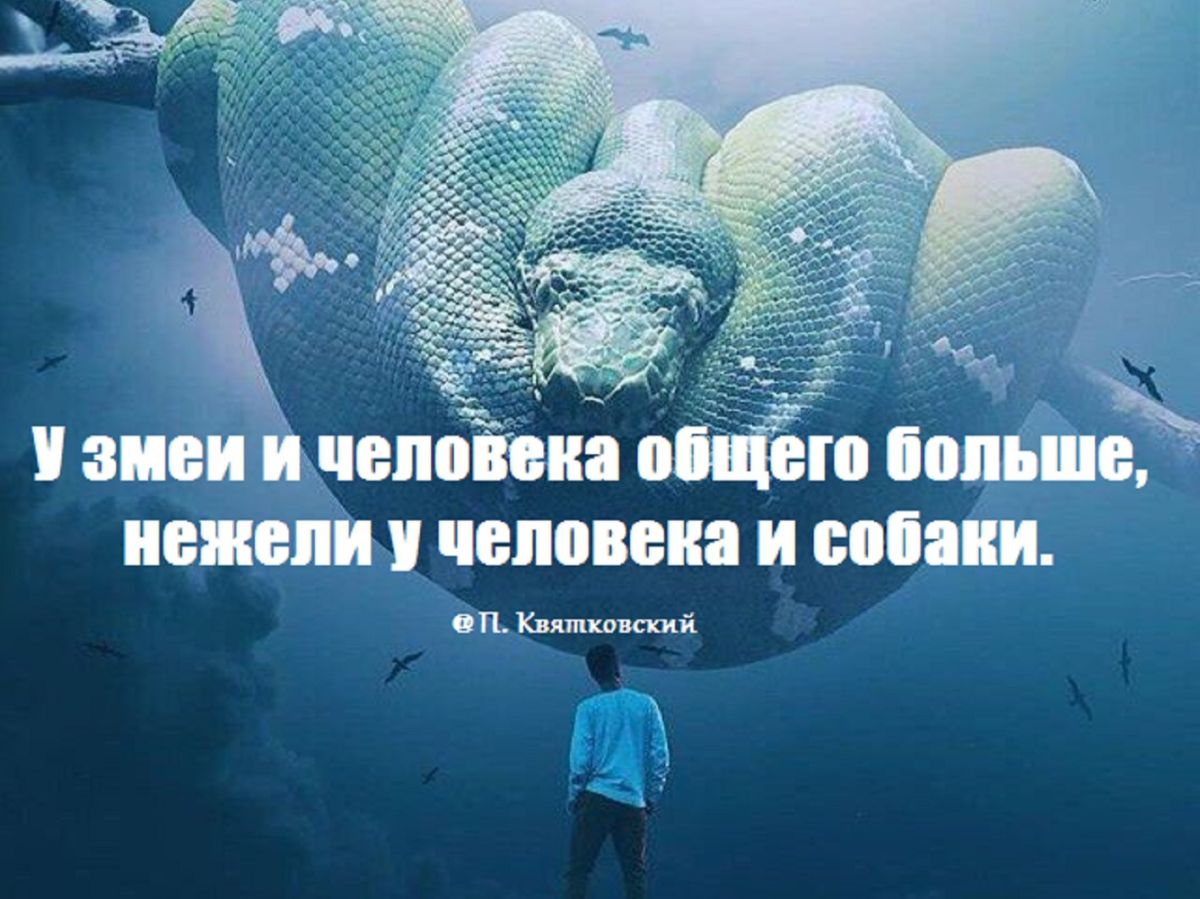 Иллюстрация к публикации