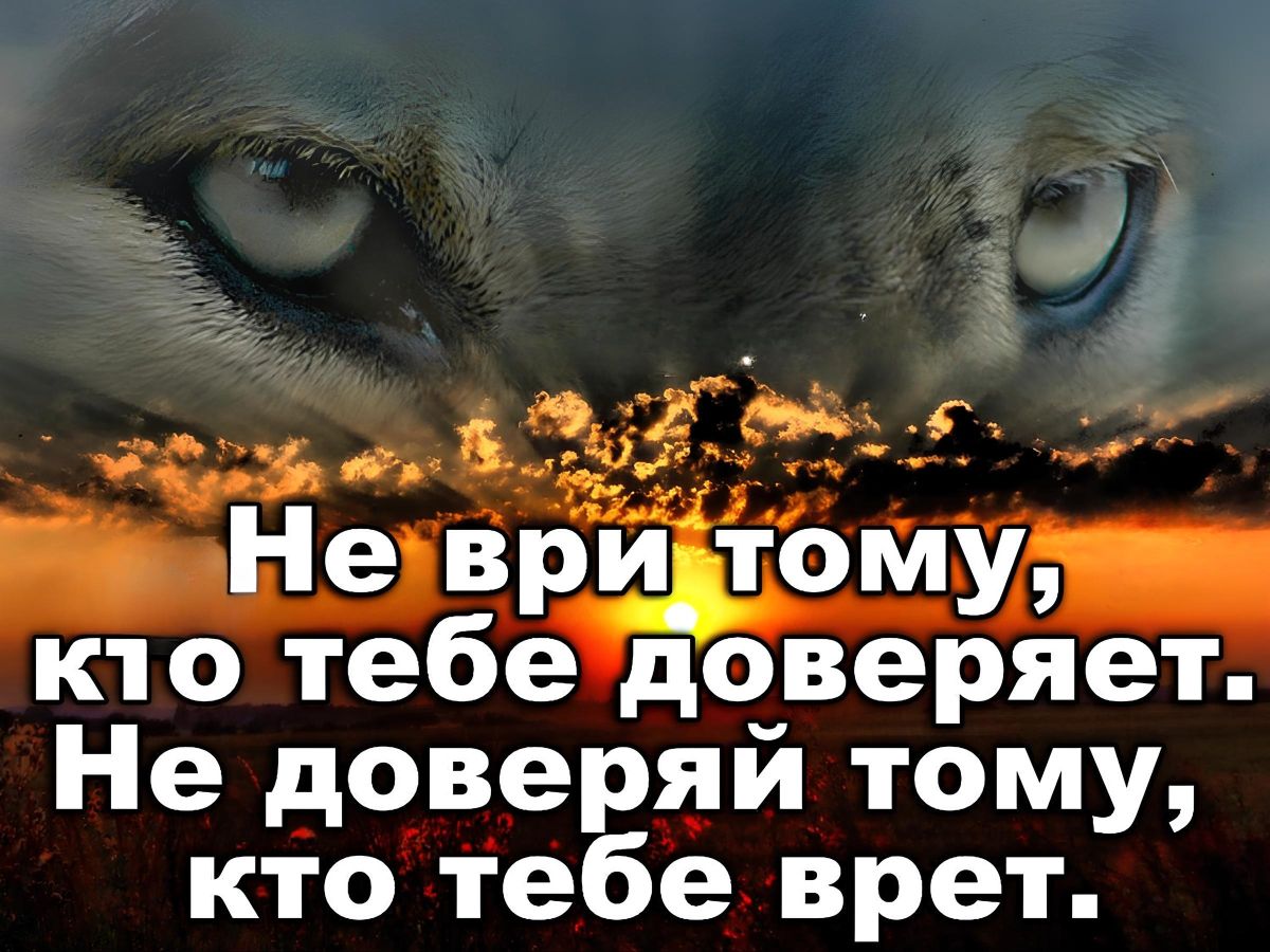 Иллюстрация к публикации