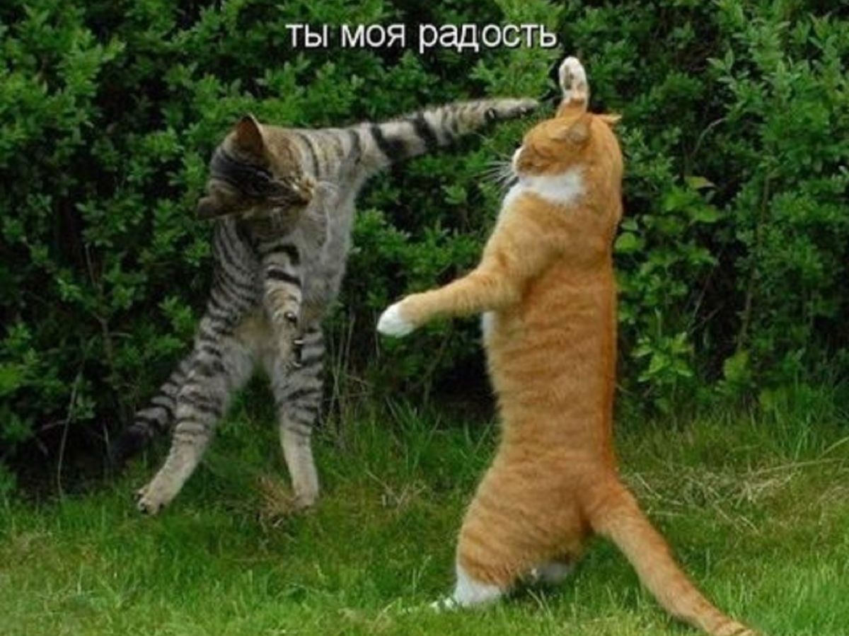 Иллюстрация к публикации