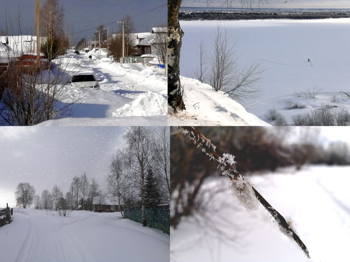 Иллюстрация к публикации