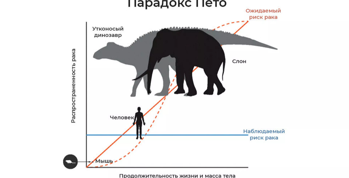 Иллюстрация к публикации