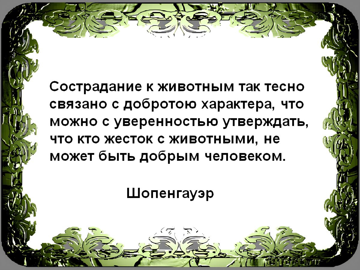 Иллюстрация к публикации
